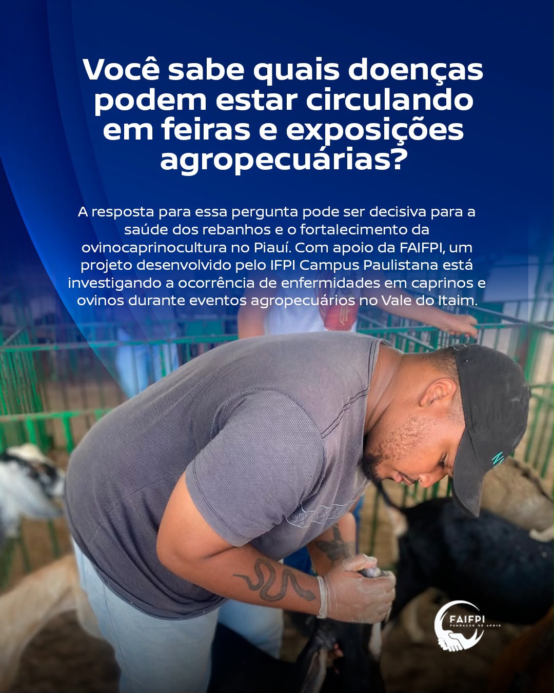 Pesquisa apoiada pela FAIFPI investiga doenças em caprinos e ovinos durante eventos agropecuários no Vale do Itaim